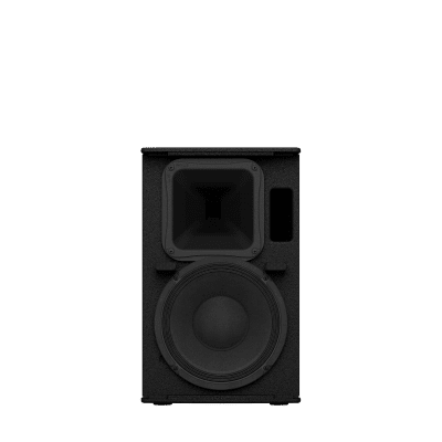 Altavoz de Montaje en Superficie de 2 vias | Woofer 10'' | Tweeter 1.4″ | 8ohms | Color Negro | 350W | Gabinete de Madera